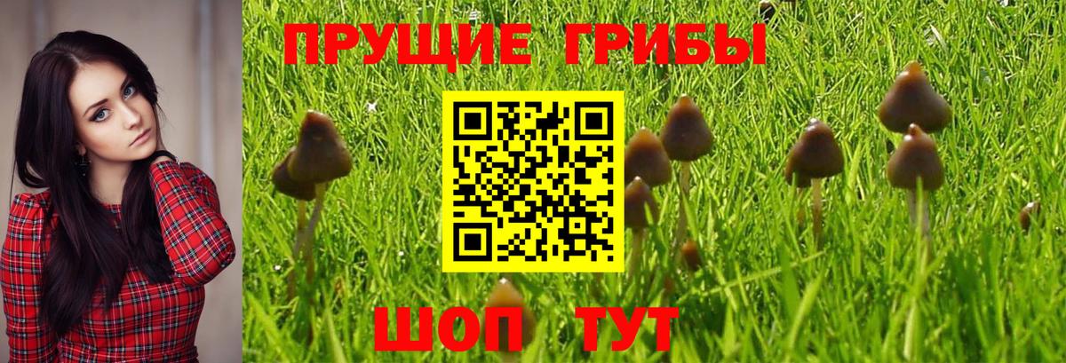 Галлюциногенные грибы Magic Shrooms Сегежа
