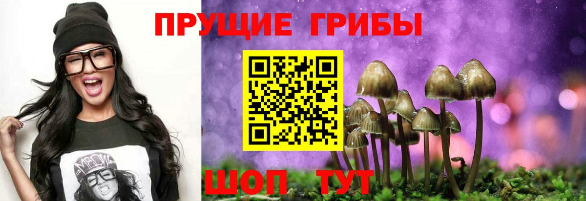 Галлюциногенные грибы мицелий  Псилоцибиновые грибы GOLDEN TEACHER  Вход с VPN  Сегежа 